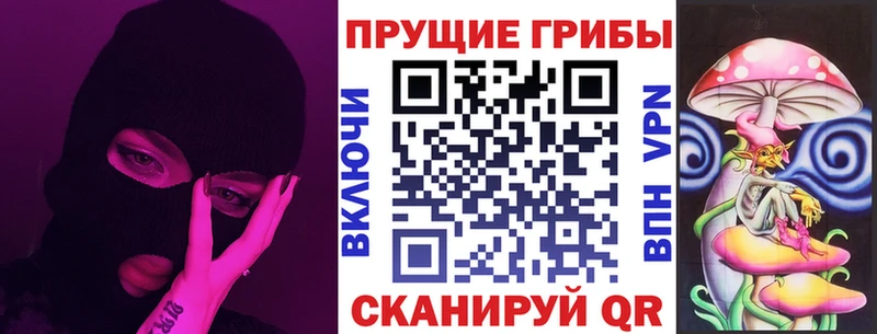 гидра ссылки  Малоярославец  Псилоцибиновые грибы Psilocybe 